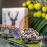Maison d'hôtes Fruehstueckspension Maier 3*